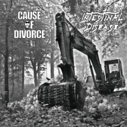 Cause Of Divorce : CoD-ID